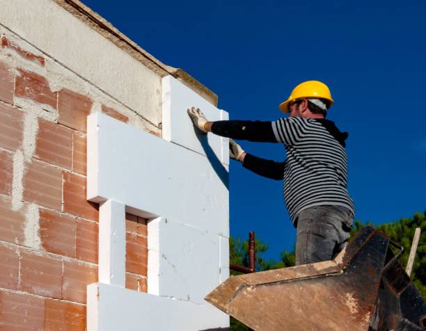 Best Specialty Insulation in Lipatria, CA