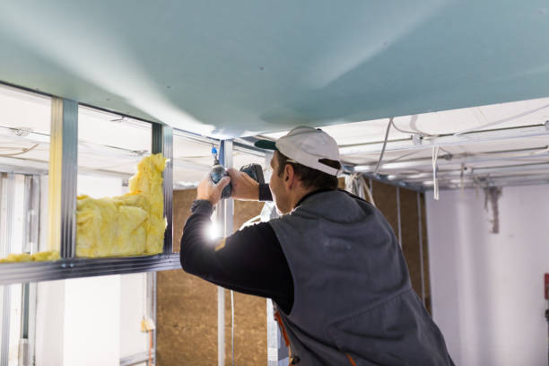 Best Insulation Maintenance and Repair in Lipatria, CA