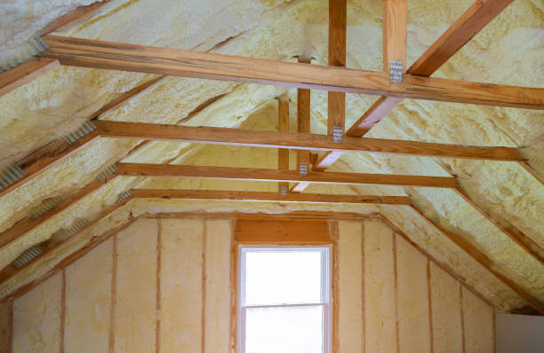 Best Insulation Installation Services in Lipatria, CA